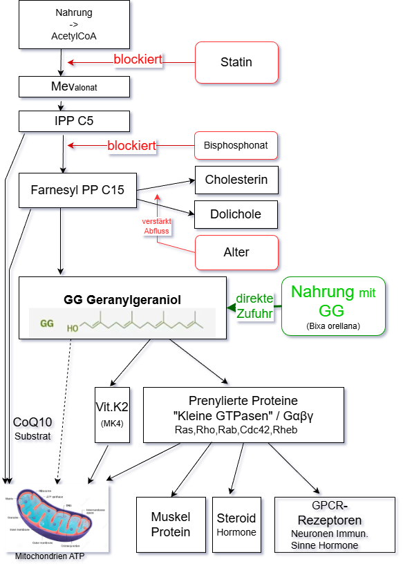 Pathways and hinderances to GG